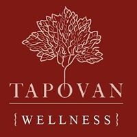 Tapovan Wellness logo - Similar company to Sadayu Wellness Llp
