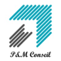 P&M Conseil logo - Similar company to Excelerate Systems