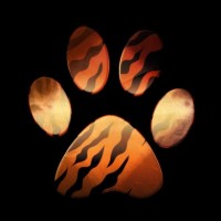 Discover Wild Paws logo - Similar company to Paryat