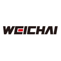 Weichai Power (SHIG India) logo - Similar company to Pelvic Elements