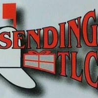 Ship Sending TLC - Dry Ice logo - Similar company to Donna Barlow Travel
