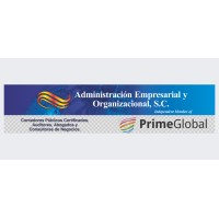 Administración Empresarial y Organizacional logo - Similar company to Aduana Soft