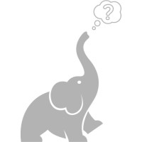 Elefant Kommunikation