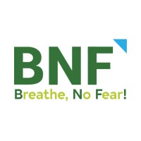 BNF Consulting, Inc. (914) 297-8335 logo - Similar company to Bnf Consulting