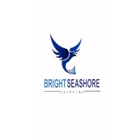 BRIGHT SEASHORE SHIPPING LLC logo - Similar company to Hawk Freight Services Llc