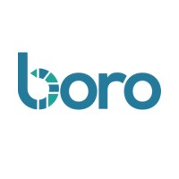 Boro logo - Similar company to Boro