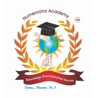 NumeroUno Academy of Banking & International Business logo - Similar company to Aditya Synthetic