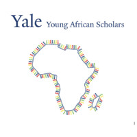 Yale Young African Scholars logo - Similar company to Assistivemath