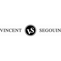 Vincent Segouin Assurance logo - Similar company to Hrs-Technology