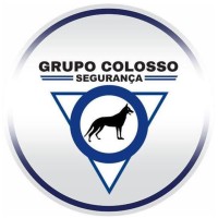 Grupo Colosso logo - Similar company to Geeksys