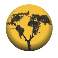 GroundTruth Consulting Ltd logo - Similar company to Safehaven Cism