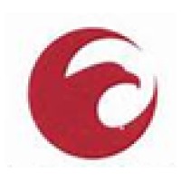 DFL RISK logo