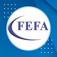 FEFA, LLC logo - Similar company to Dingle Enterprise, Llc