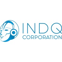 INDQ CORPORATION logo - Similar company to Cdsoft