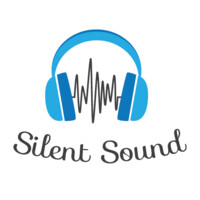 Silent Sound Sp. z o.o. logo - Similar company to In360.Global