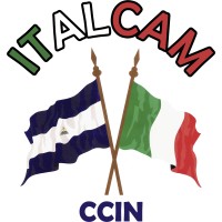 ITALCAM Nicaragua logo - Similar company to Fundación Movicáncer
