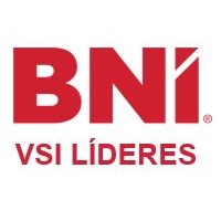 BNI VSI LÍDERES logo - Similar company to Shield Solutions