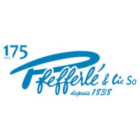 Pfefferlé & Cie SA logo - Similar company to Teemantsoft