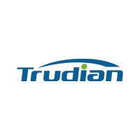 Guangdong Trudian Technology Co., Ltd. logo - Similar company to Dgx Digital