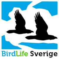 BirdLife Sverige logo - Similar company to Wild Heritage