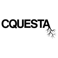Cquesta logo - Similar company to Statvis Analytics Inc.