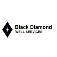 Black Diamond Well Services Pte Ltd logo - Similar company to Beaver Contromatic