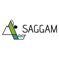 SAGGAM logo - Similar company to Edard