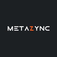 MetaZync logo - Similar company to Aivora Lab Llc