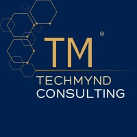TechMynd Consulting logo - Similar company to Acquire One