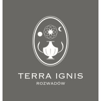 TERRA IGNIS Rozwadów logo - Similar company to Delaburo.Com