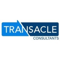 Transacle Consultants logo - Similar company to The Eco First