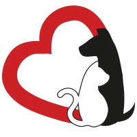 Fundacja tyMMMczasy logo - Similar company to Dew-X.Com