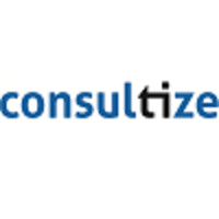 Consultize logo - Similar company to Aura Consultors | Finances I Estratègia