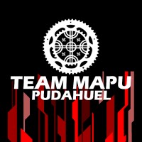 TEAM MAPU logo - Similar company to El Puclítico