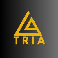 Tria consultoria logo - Similar company to Lixiki