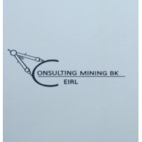 Consulting Mining BK E.I.R.L. logo - Similar company to Cherami Digital