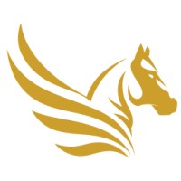 Pegasus Storage logo - Similar company to Steelman Global