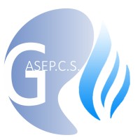 Gasepec logo - Similar company to Altel Soluções Globais De Comunicação