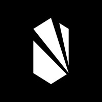 NGON Hardware logo - Similar company to Synectic Software & Services Gmbh