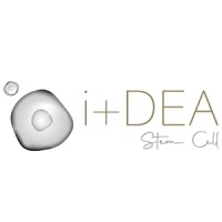 i+DEA Stem Cell logo - Similar company to Danausgt