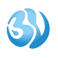 BlueVerse India Private Limited logo - Similar company to Town