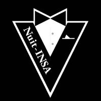 Nuit INSA logo - Similar company to Insaerospace