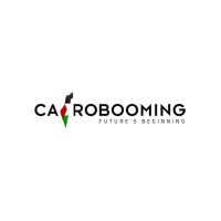 Cairobooming logo - Similar company to Zeros2Ones