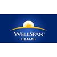 Wellspan Behavioral Health logo - Similar company to American Association Of Christian Schools