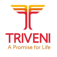 Triveni Group logo - Similar company to Noticed Brands