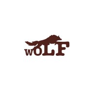 WOLF Business Consultancy LLP logo - Similar company to Adeptacct Business Consultancy Private Limited