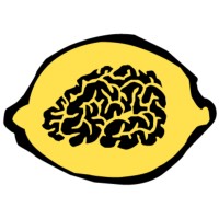 BrainSolutions logo - Similar company to Delphi Webtech