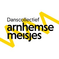 Danscollectief Arnhemse Meisjes logo - Similar company to Leddy'S - Groothandel In Led