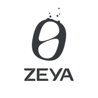 ZEYA logo - Similar company to Fir Hills
