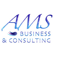 AMS Business and Consulting logo - Similar company to Vausnet